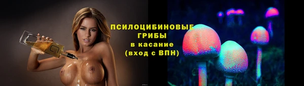 ГАЛЛЮЦИНОГЕННЫЕ ГРИБЫ Осташков